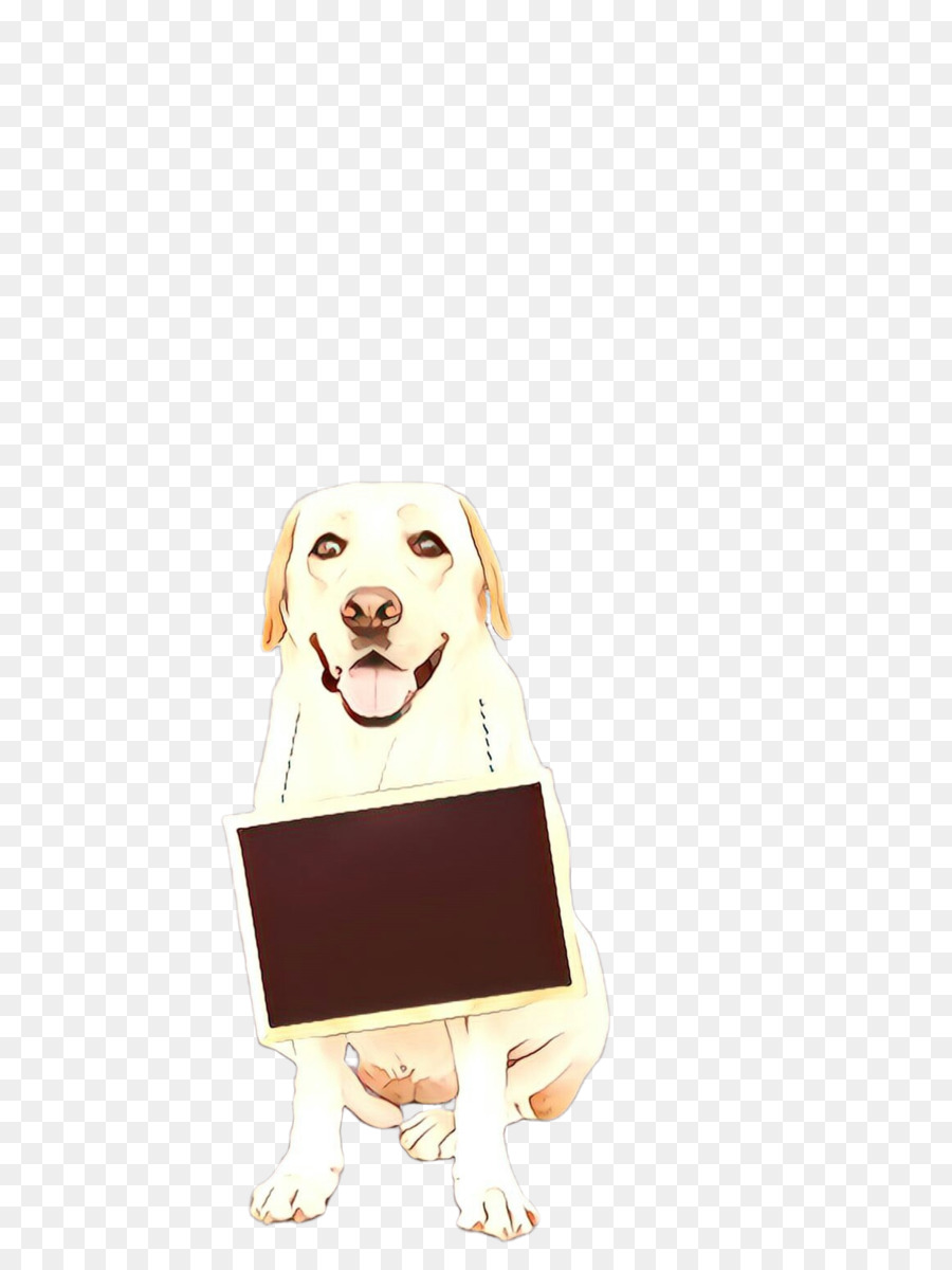 Raça Do Cão，Filhote De Cachorro PNG