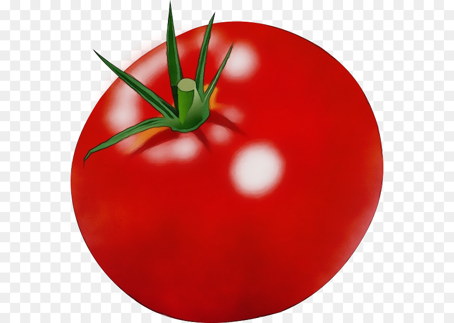 Tomate Cereja，Salada Caprese PNG