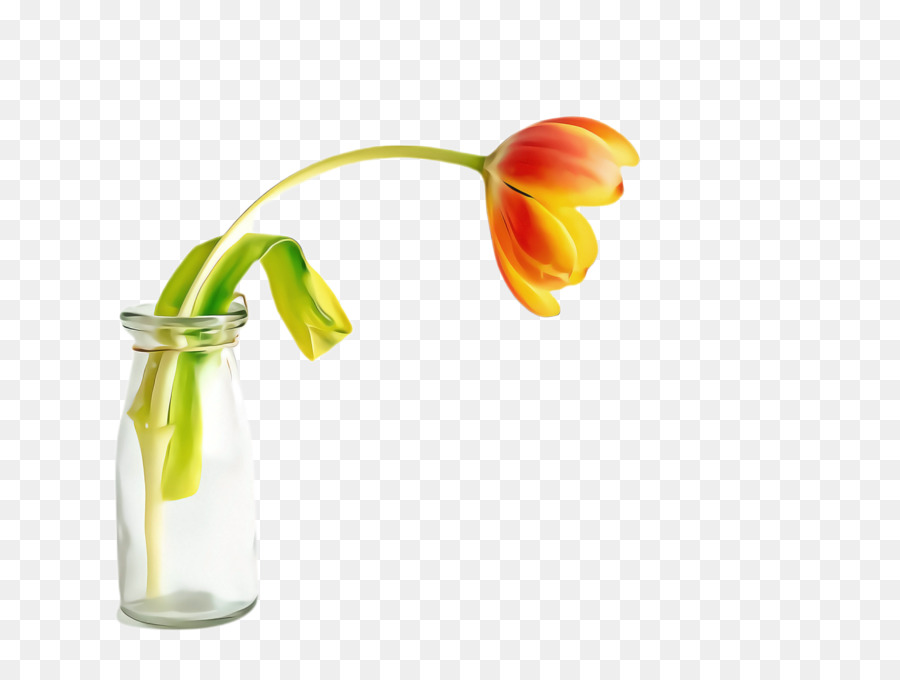 Flor，Artstone PNG