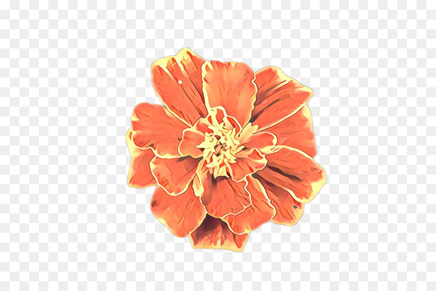 Flor，Design Floral PNG