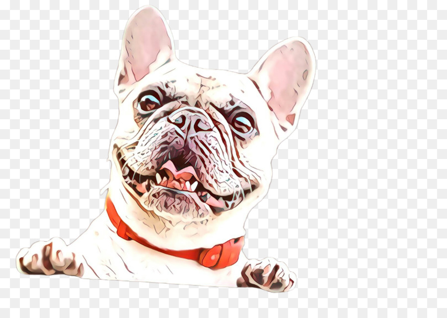 Bulldog Francês，Brinquedo Bulldog PNG