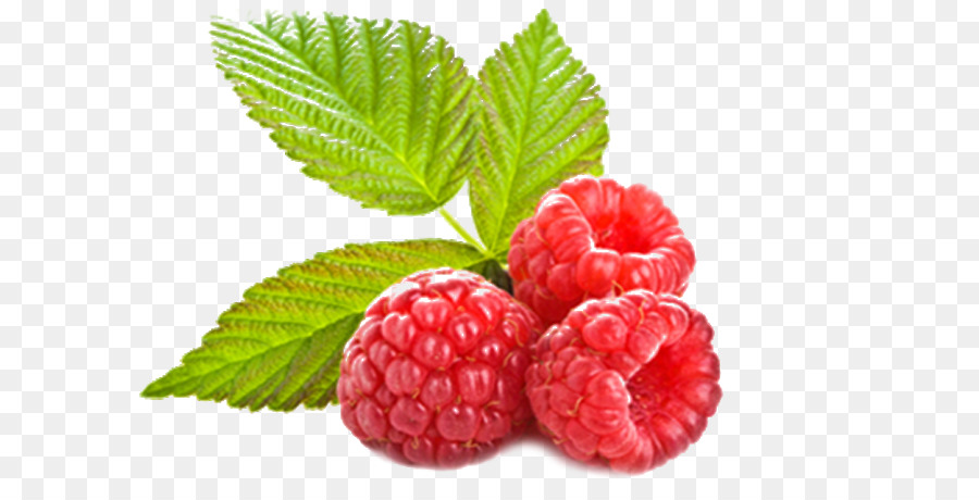 Framboesas，Fruta PNG