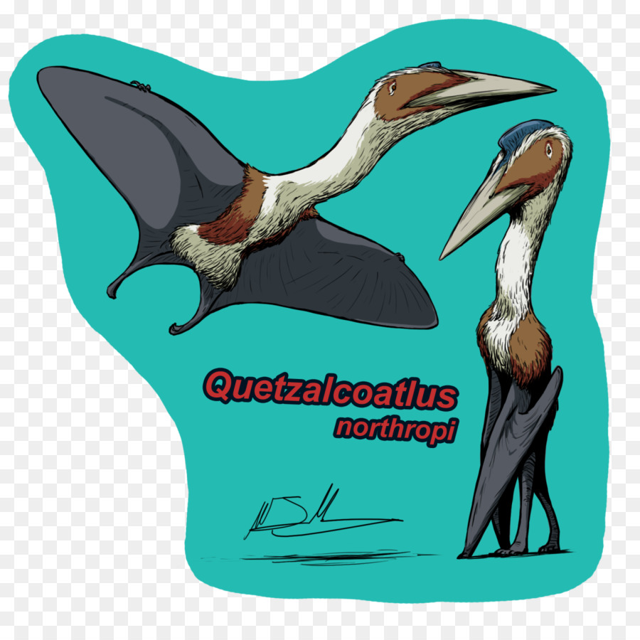 Quetzalcoatlus，O Pterossauro PNG