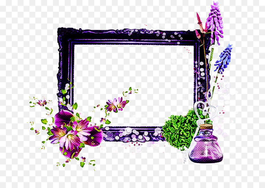 Design Floral，Molduras PNG