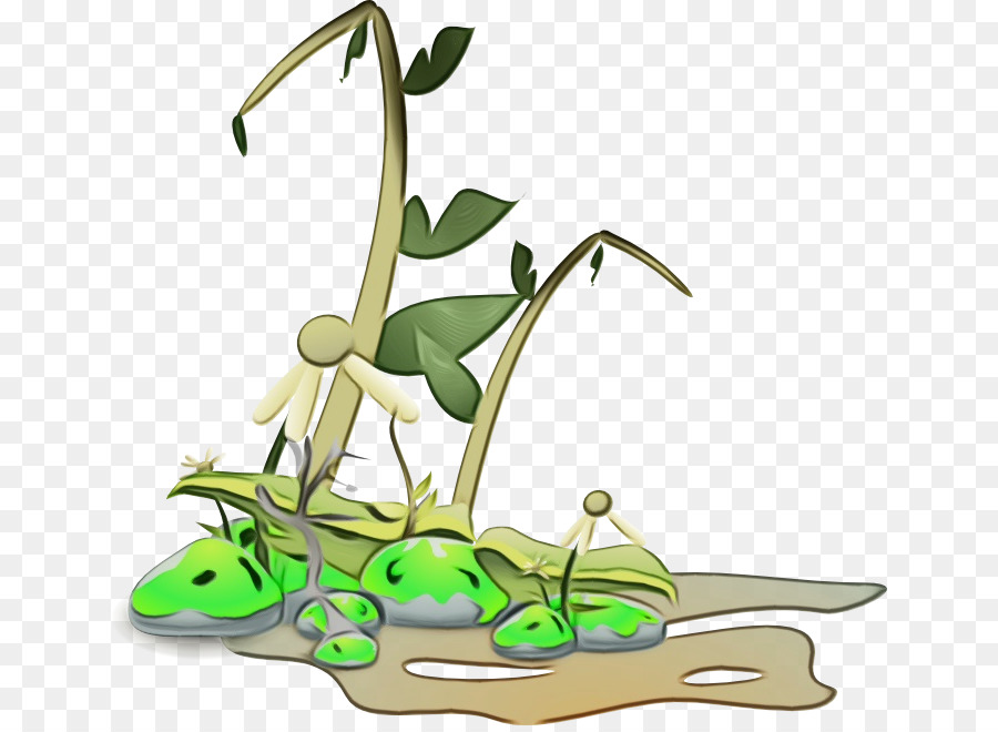 A Morte，Plantas PNG