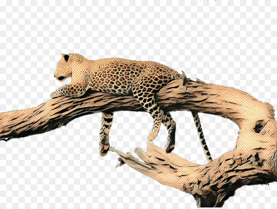 Cheetah，Leopard PNG