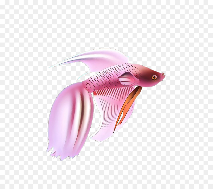 Peixe，Rosa M PNG