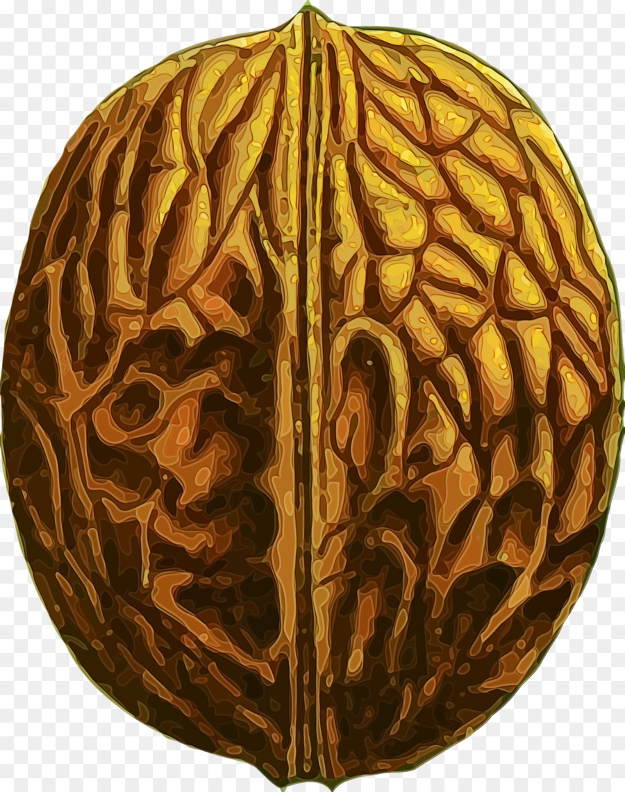 Squash，Inverno De Squash PNG