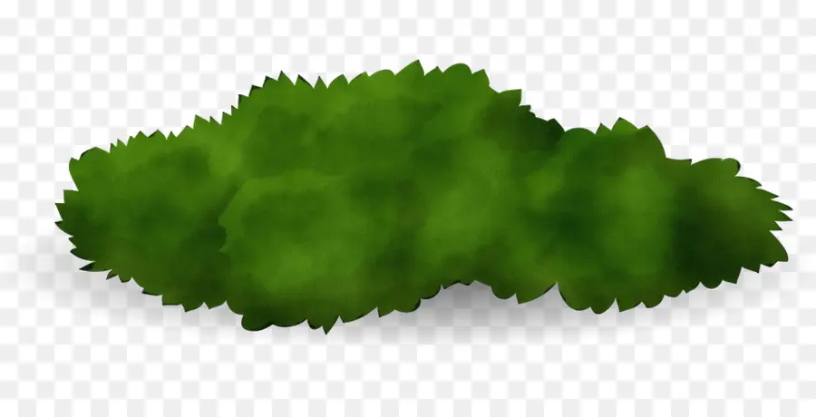 Arbusto，Verde PNG