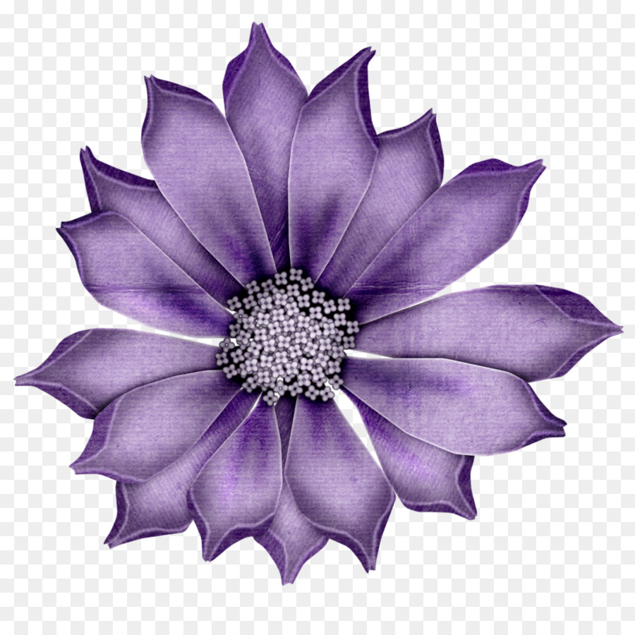 Flor Roxa，Florescer PNG