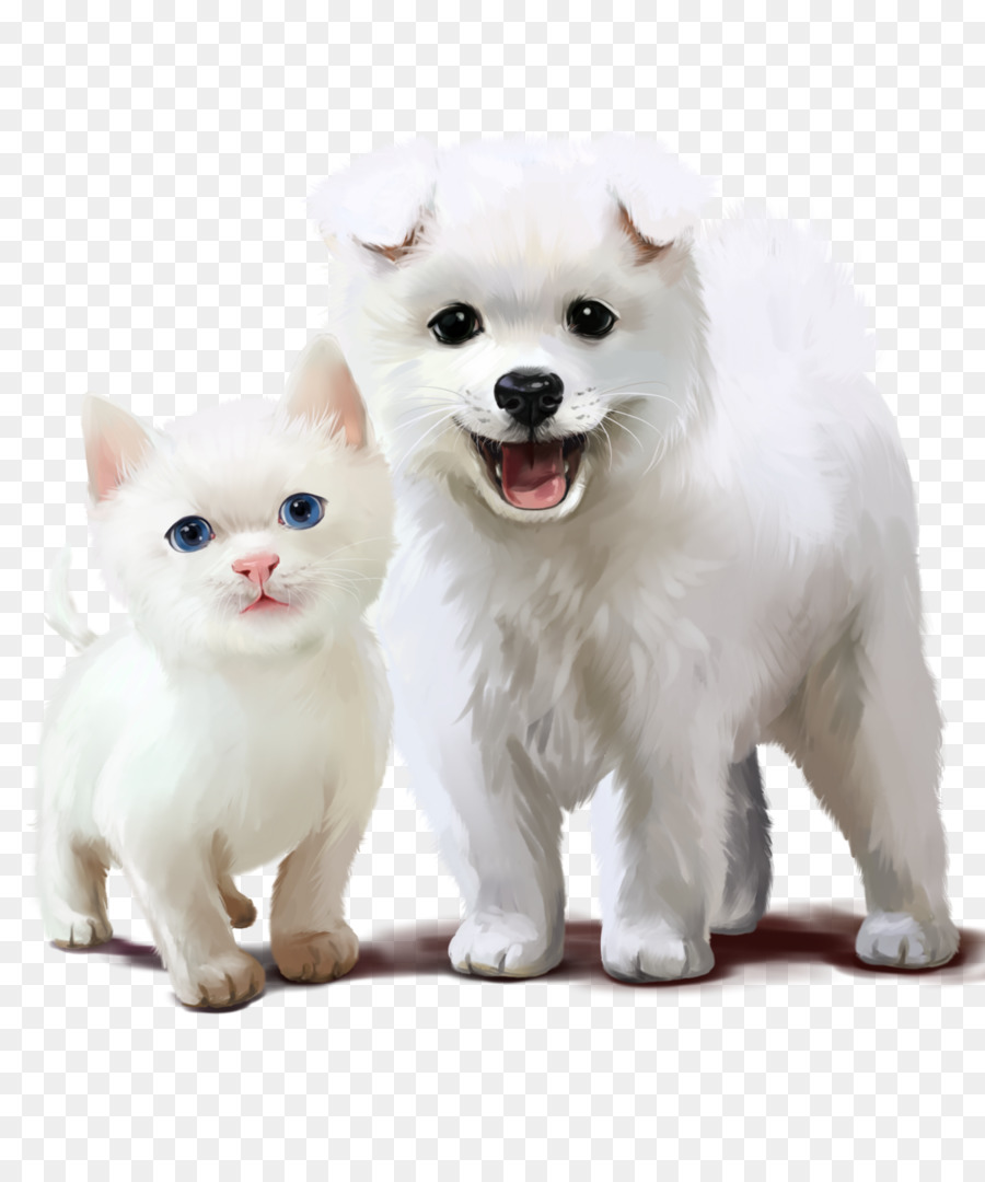 Gato E Cachorro Branco，Animais De Estimação PNG