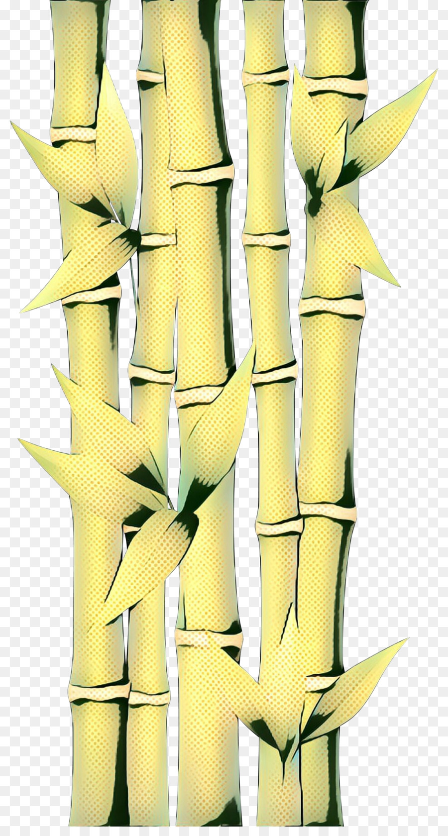 Bambusoideae，Bambu PNG