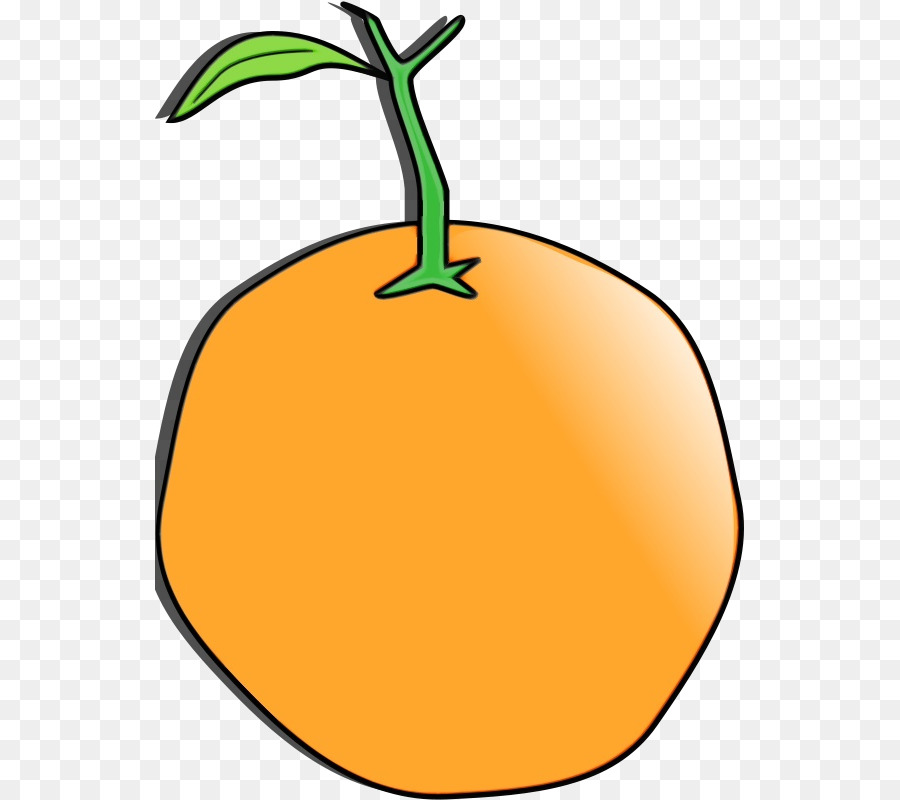 Laranja，Folha PNG