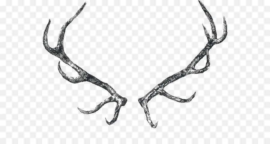 Deer，Moose PNG