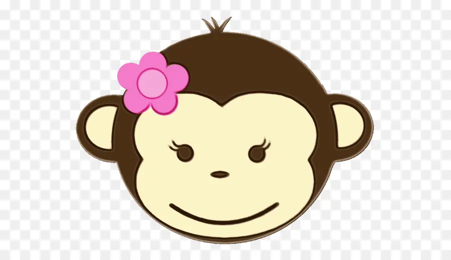 Cara De Macaco，Flor PNG