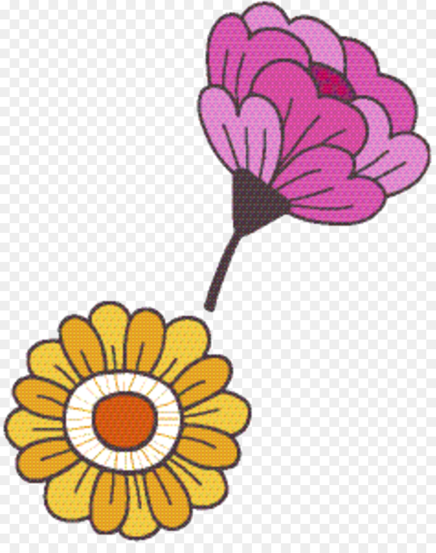 Comum Daisy，Flores De Corte PNG