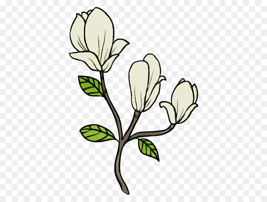 Flores Brancas，Filial PNG