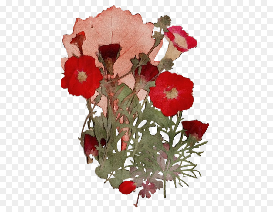 Flores Vermelhas，Botânico PNG