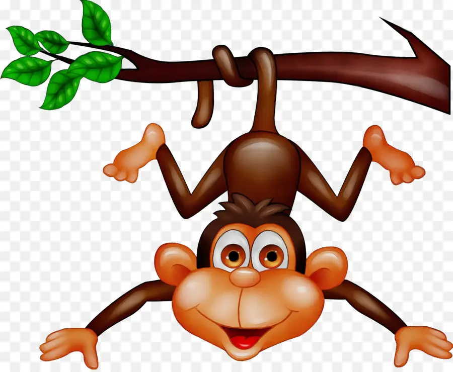 Macaco，Cartoon PNG