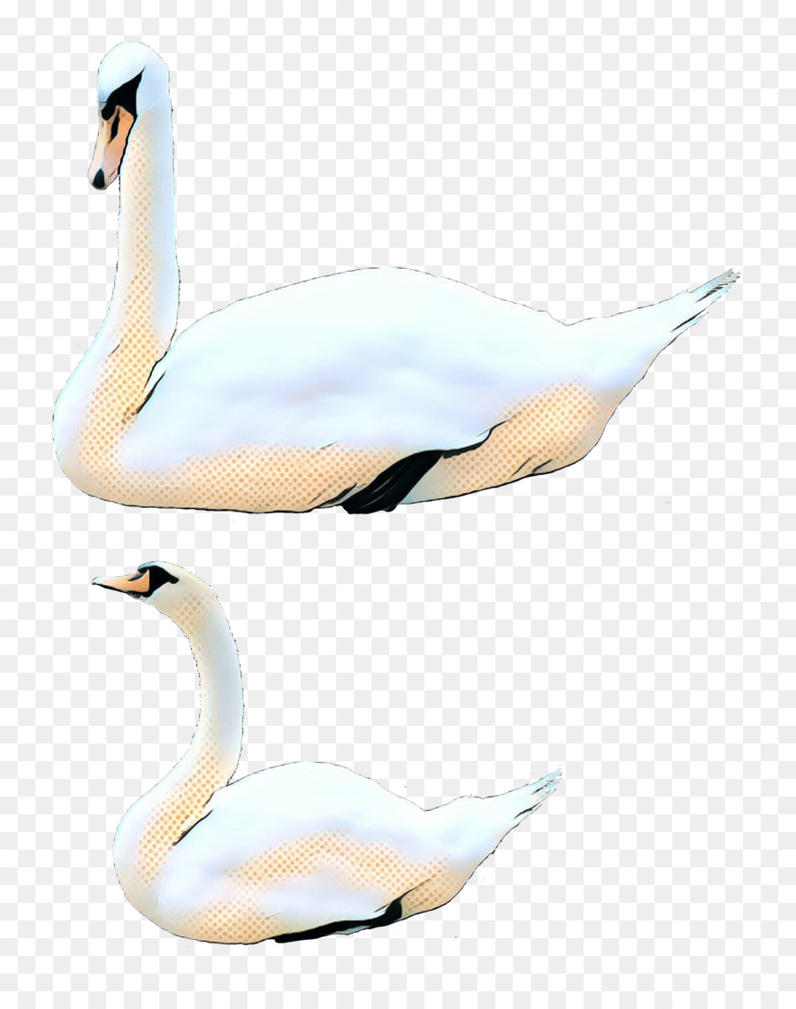 Ganso，Pato PNG