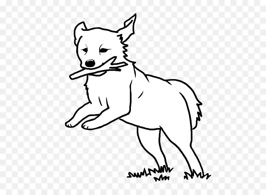 Cachorro Com Pau，Cachorro PNG