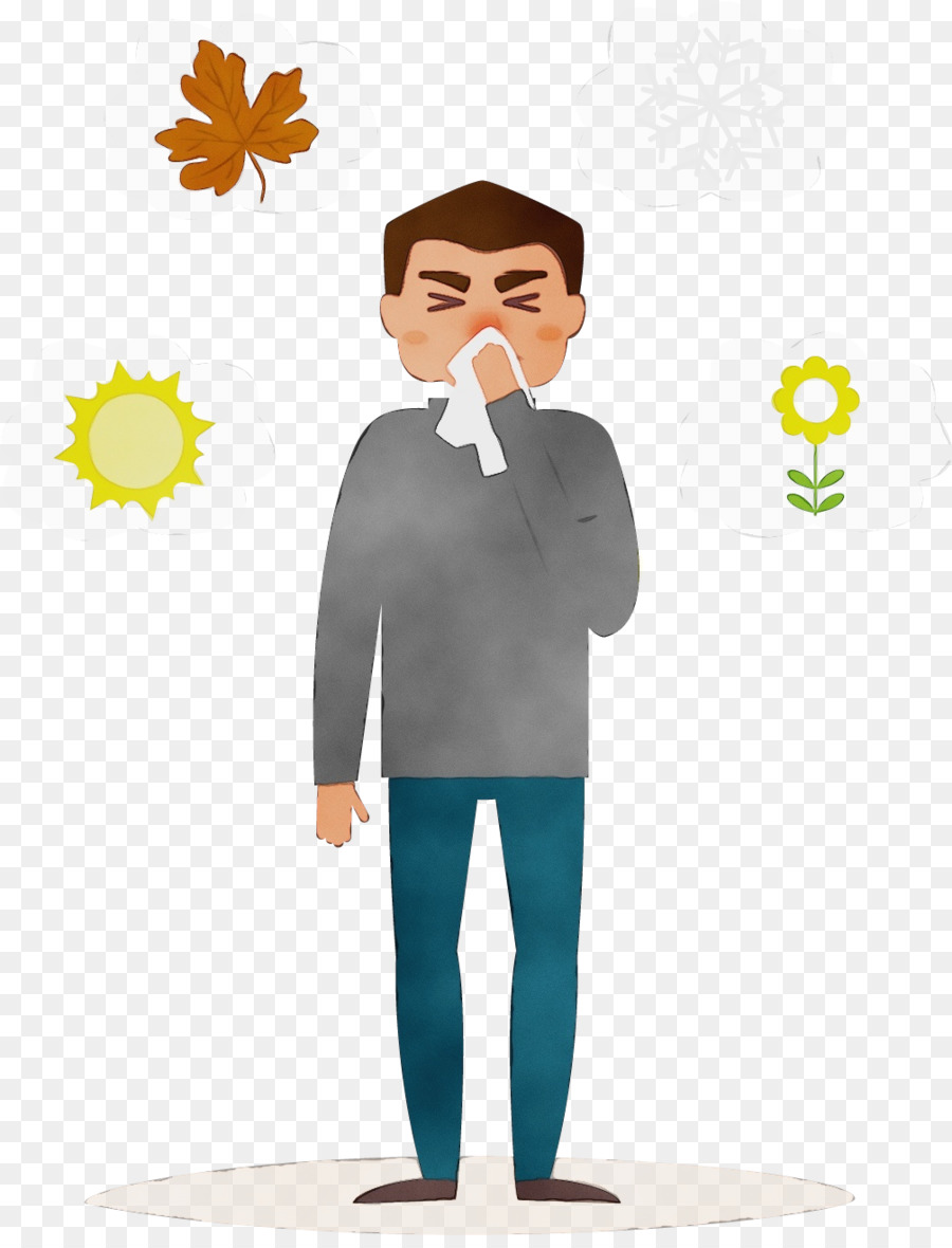A Febre Do Feno，Alergia PNG