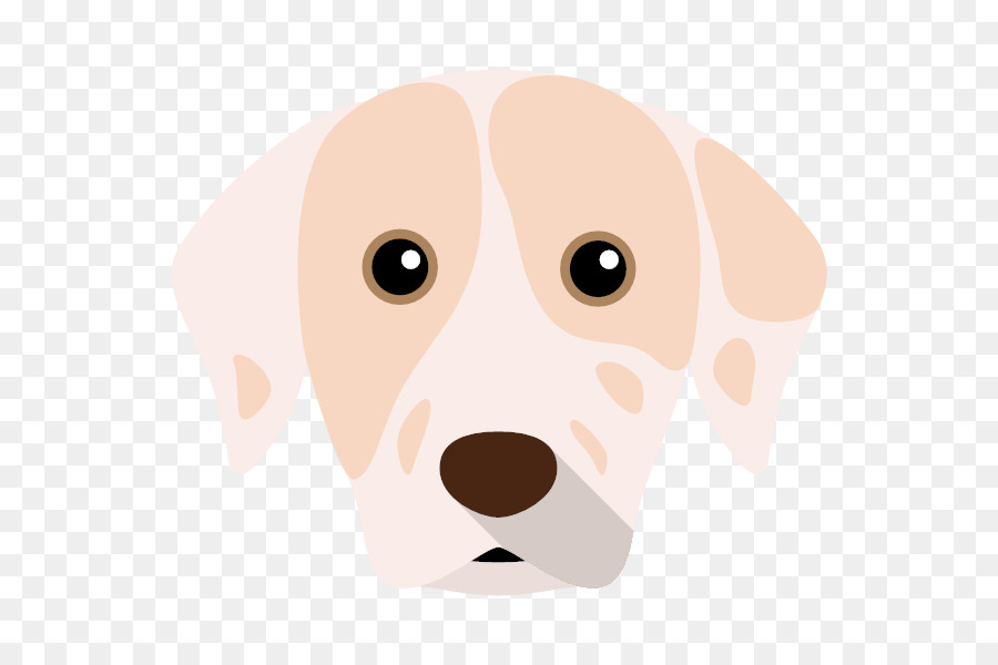 Filhote De Cachorro，Retriever PNG