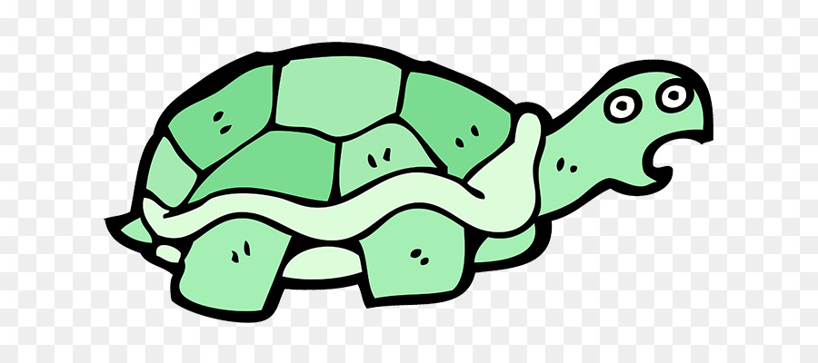 Turtle，Tartaruga PNG