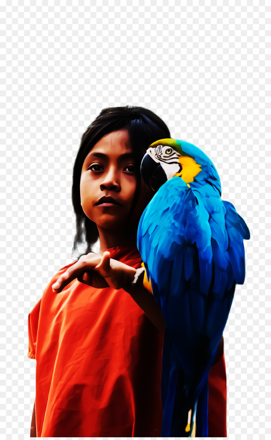 Arara，Papagaio PNG