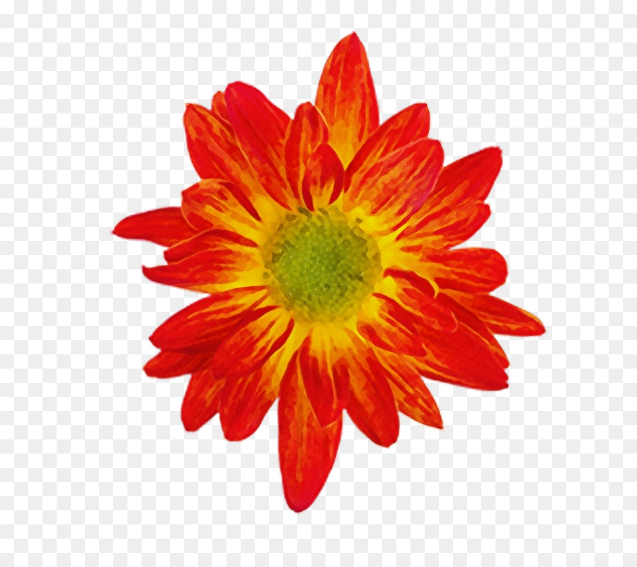 Flor Vermelha，Flor PNG