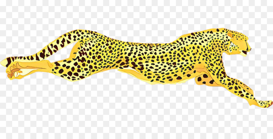 Cheetah，Jaguar PNG