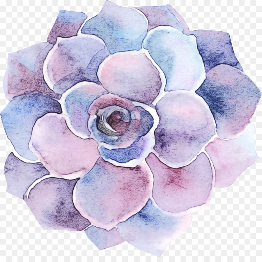 Pintura Em Aquarela，Flores De Corte PNG