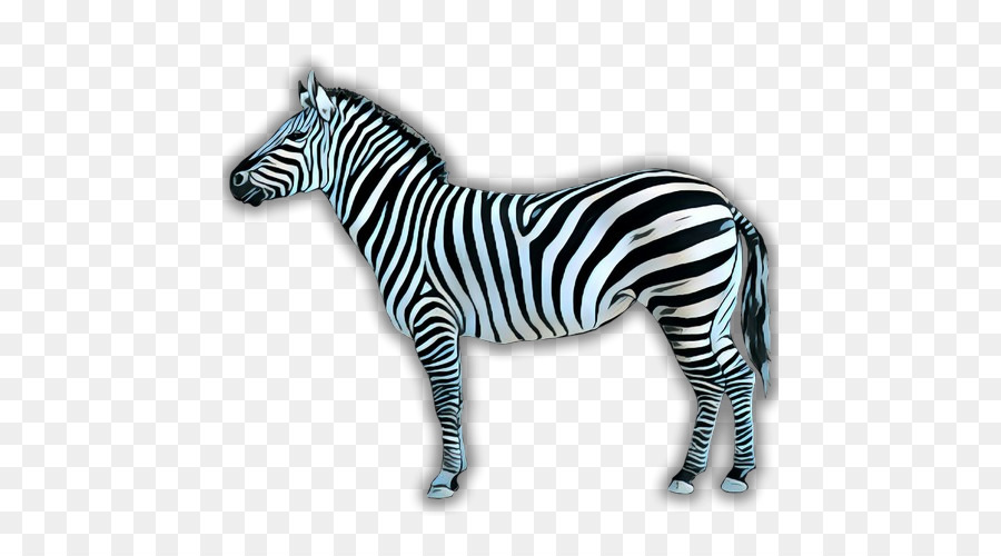 Zebra，Cavalo PNG