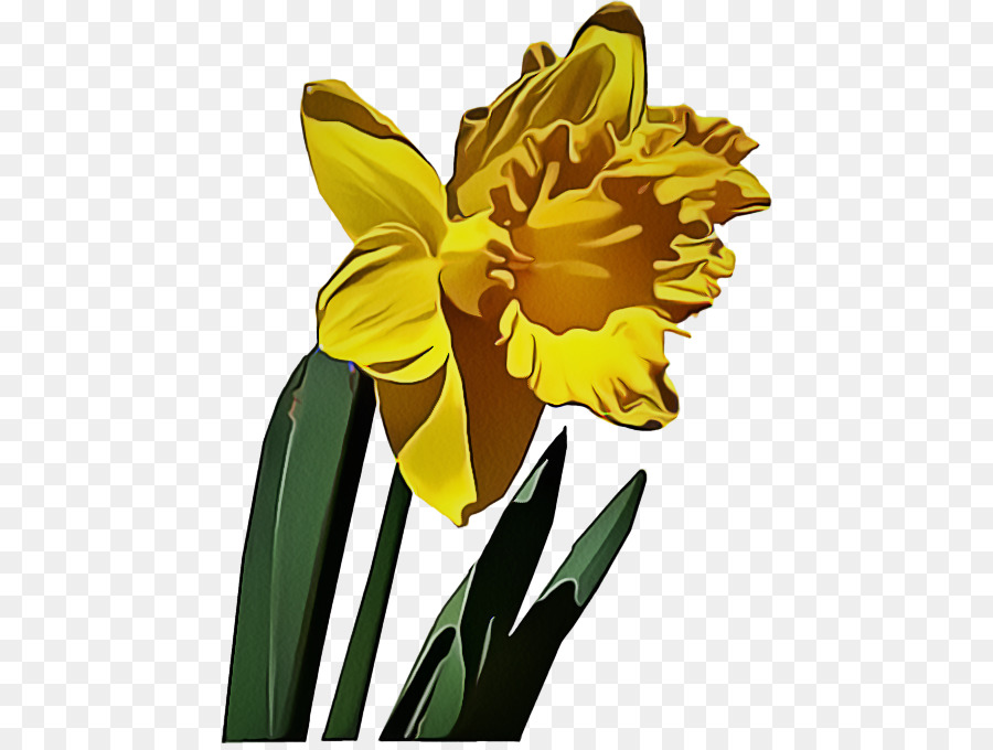 Narcisos Amarelos，Primavera PNG