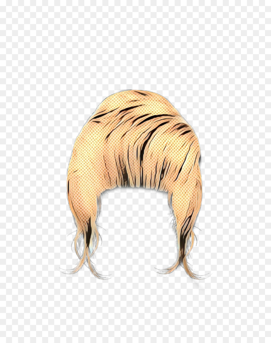 Focinho，Coloração Do Cabelo PNG