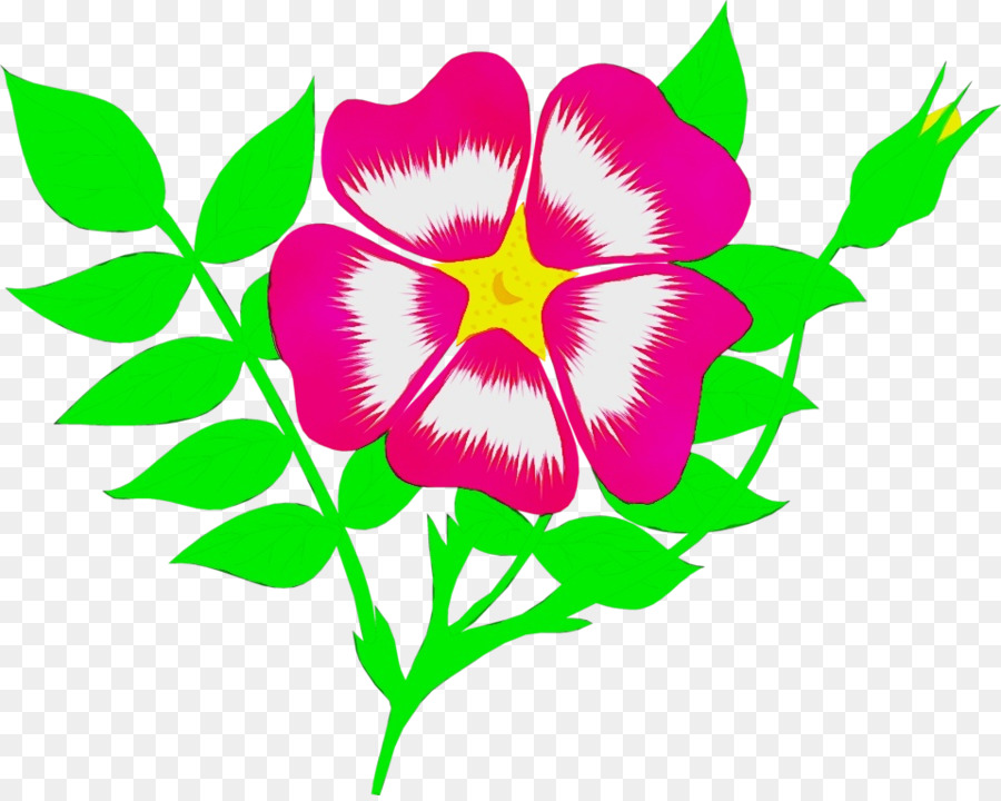 Flor，Folhas PNG