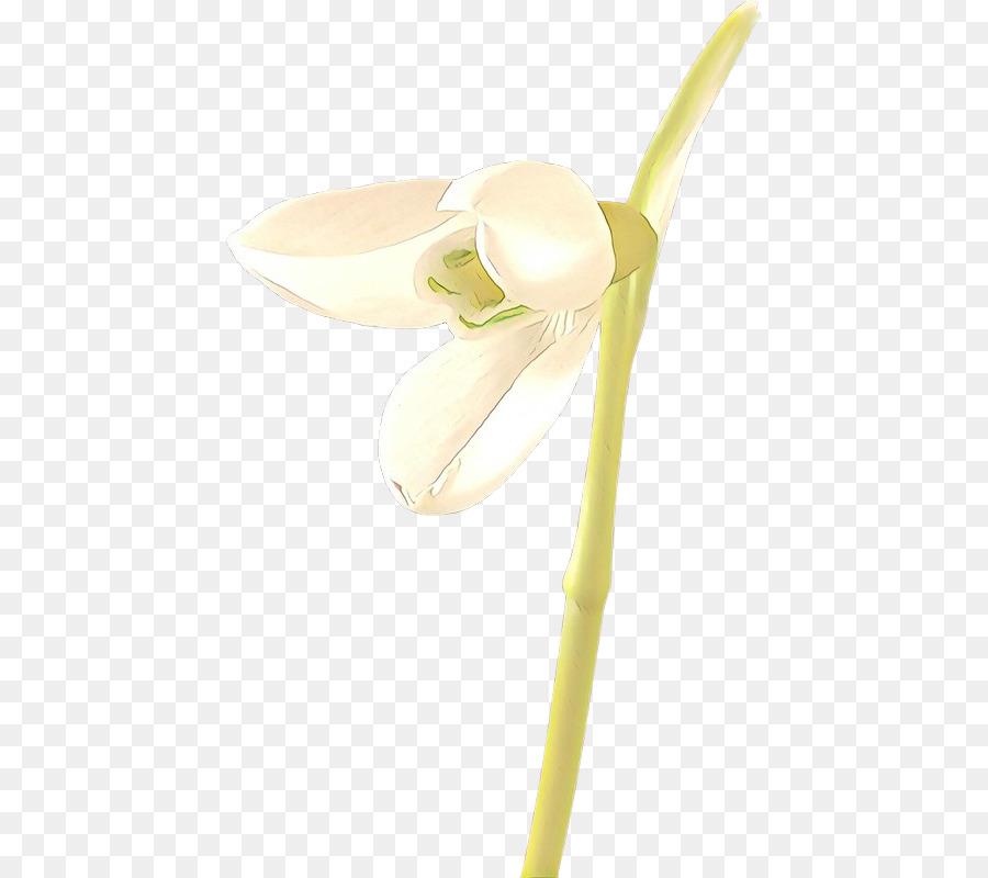 Flor，Amarelo PNG