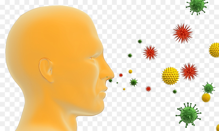 Alergia，Infecção PNG