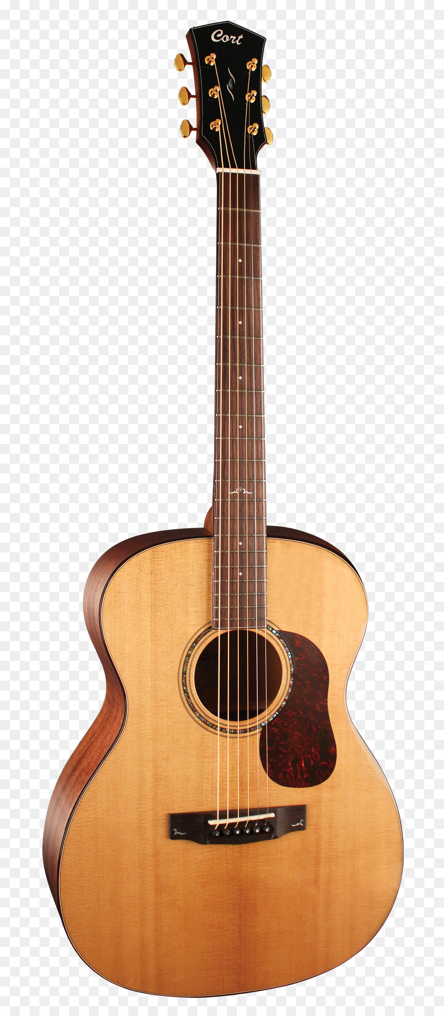 Guitarra，Cordas PNG