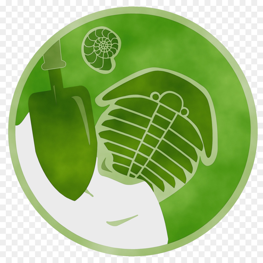 Verde，Folha PNG