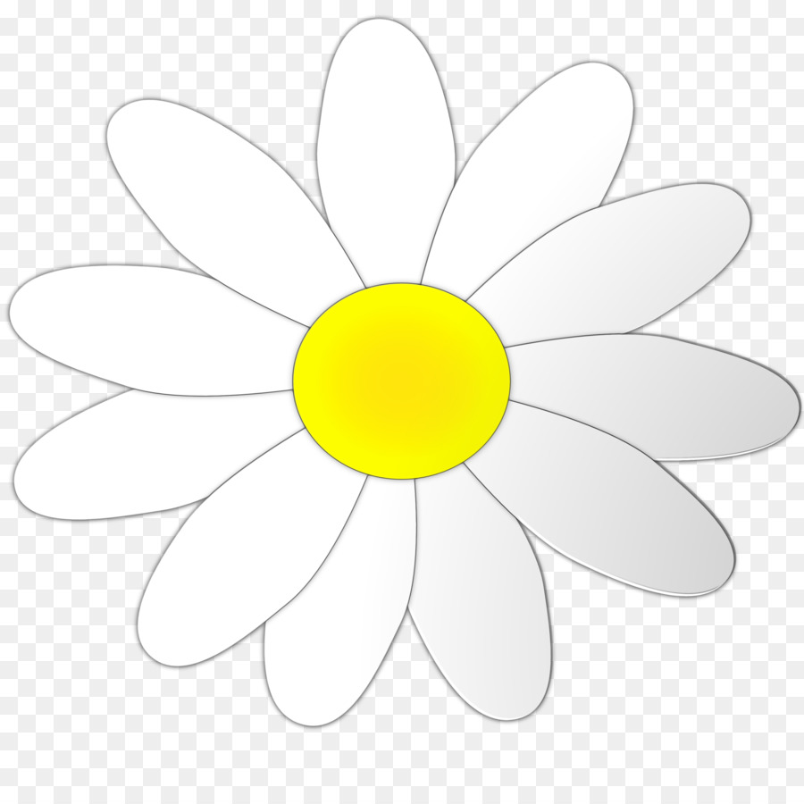 Margarida，Branco PNG