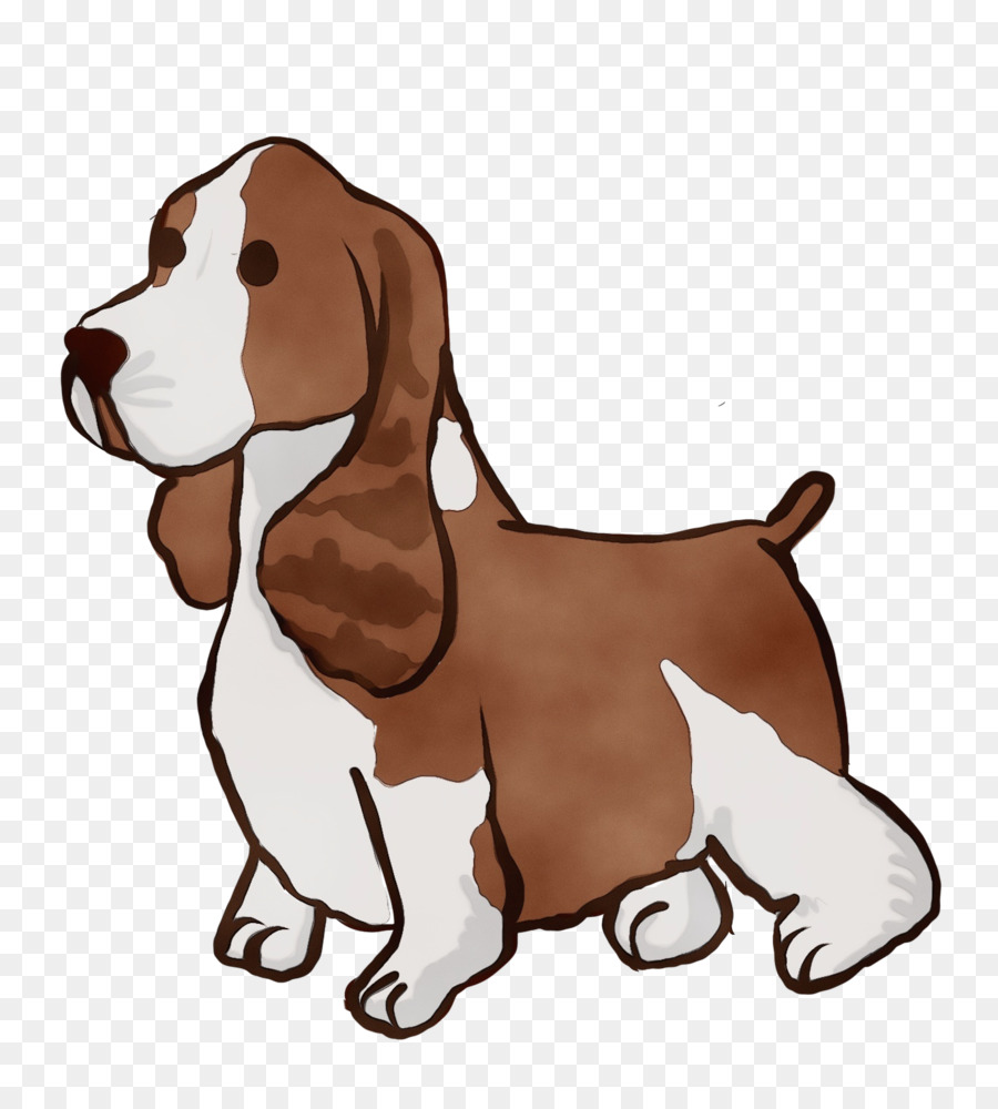 Beagle，Filhote De Cachorro PNG