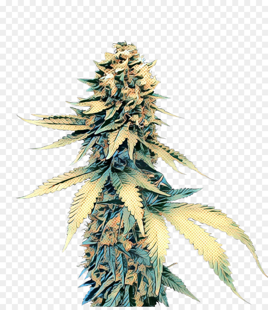 Cannabis，Folha PNG