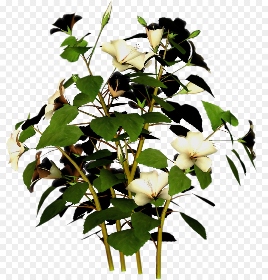 Plantas，Falsa árvore Laranja PNG