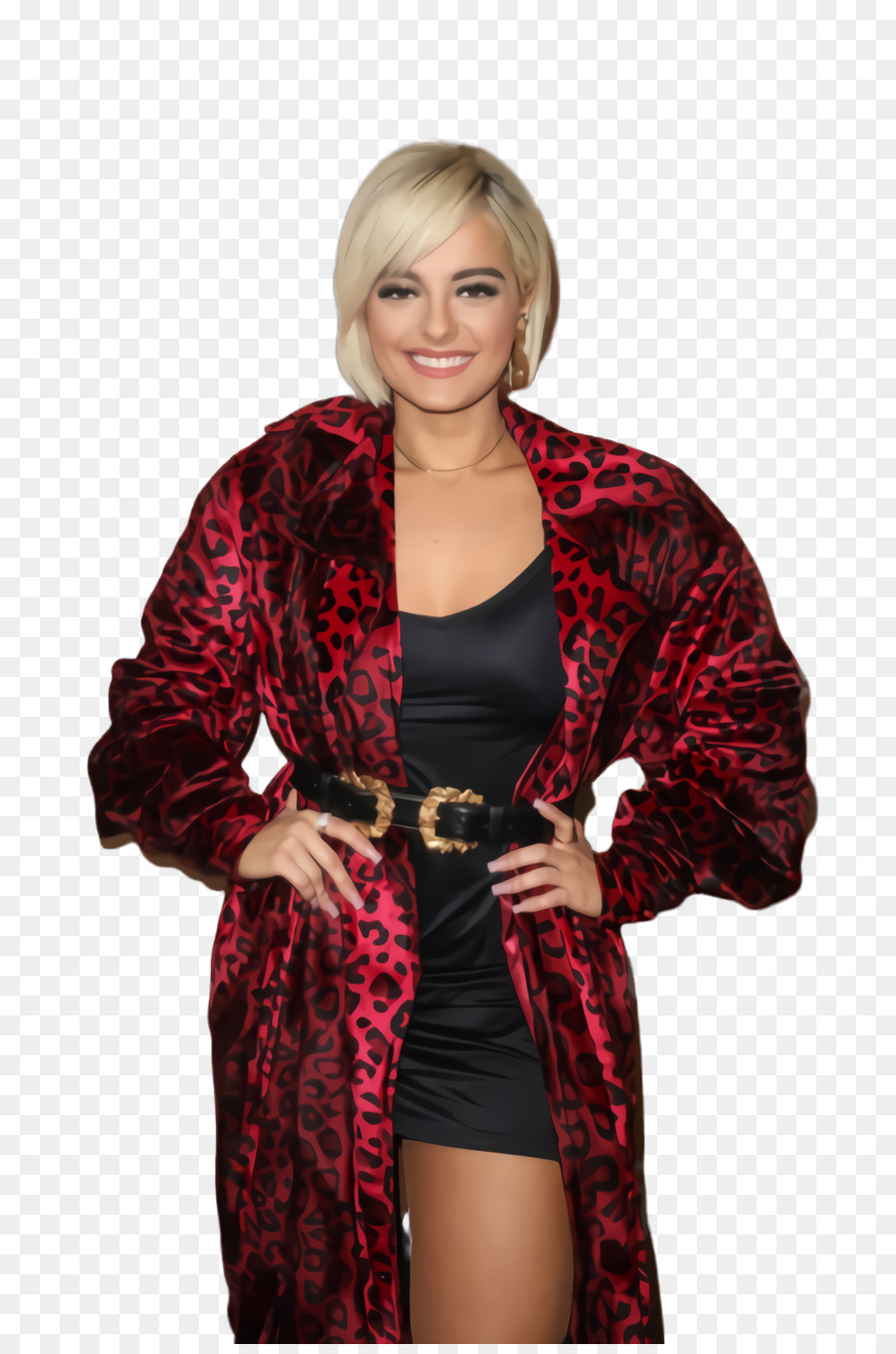 Bebe Rexha，Dois Mil Dezoito PNG