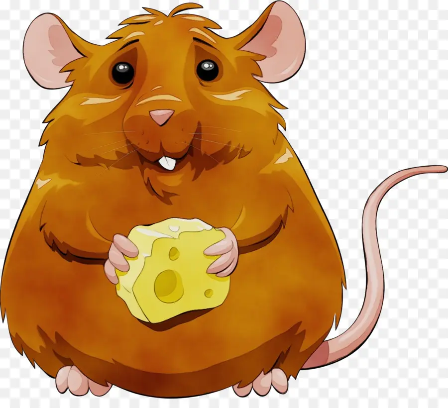 Mouse De Computador，Mouse PNG