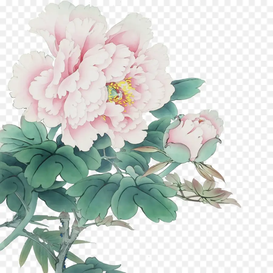 Flores De Peônia，Rosa PNG