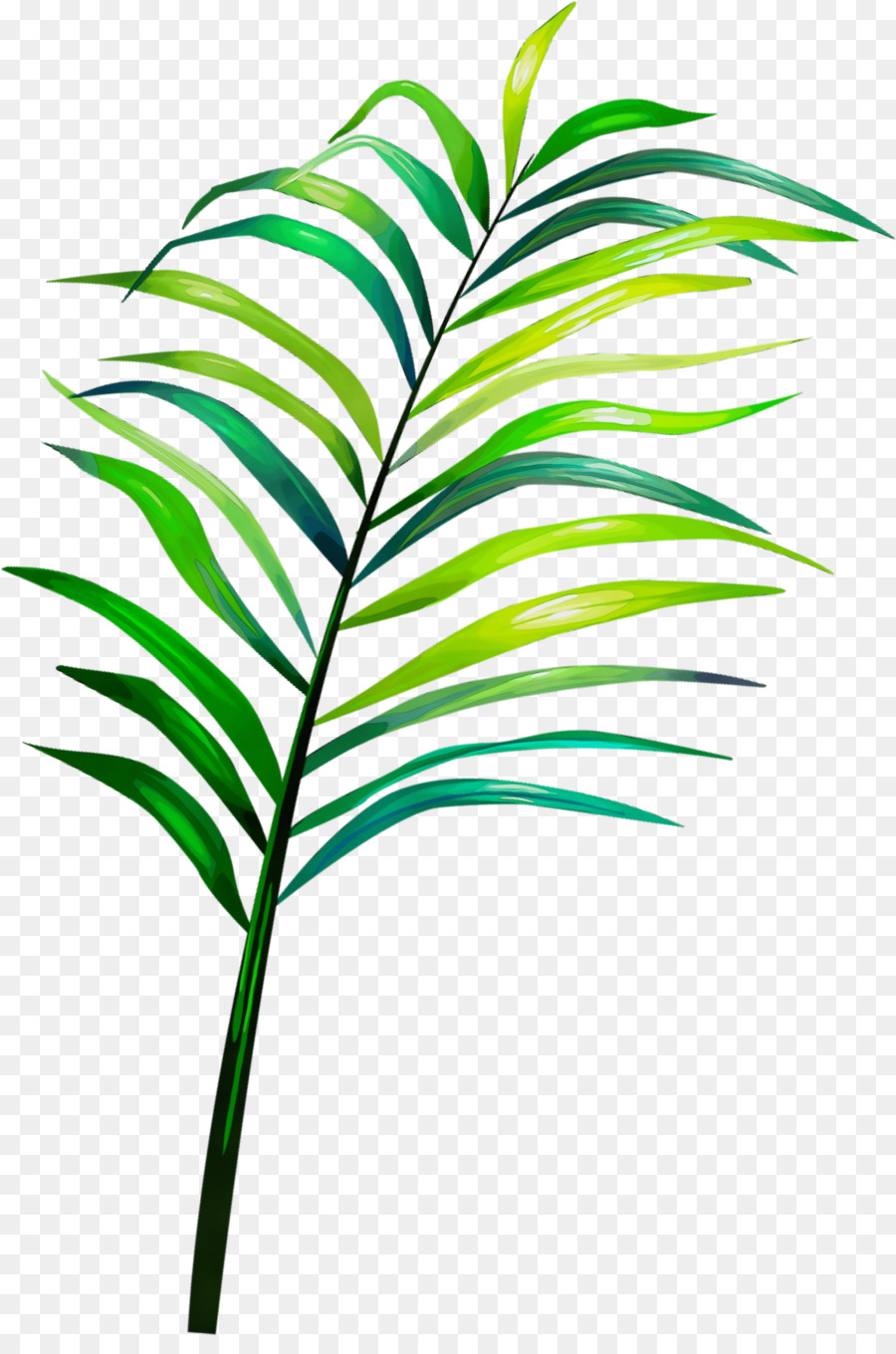 Folha Verde，Plantar PNG