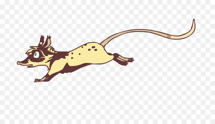 Gato，Rat PNG