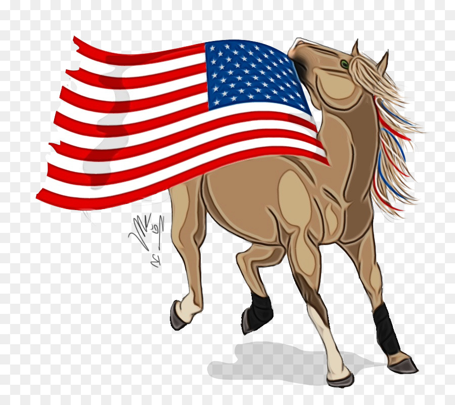 Cavalo Com Bandeira Americana，Bandeira PNG